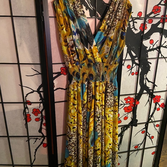 Peacock chiffon dress with full lining - Picture 1 of 3